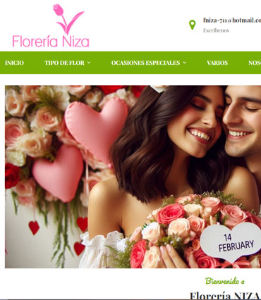 Ideas Inteligentes Diseño y Desarrollo Web, Marketing Digita, Posicionamiento SEO y SEM en Google, Tiendas Virtuales y Diseño Gráfico en Pachuca Hidalgo, México