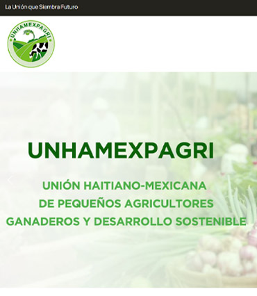 Ideas Inteligentes Diseño y Desarrollo Web, Marketing Digita, Posicionamiento SEO y SEM en Google, Tiendas Virtuales y Diseño Gráfico en Pachuca Hidalgo, México