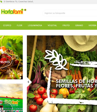 Ideas Inteligentes Diseño y Desarrollo Web, Marketing Digita, Posicionamiento SEO y SEM en Google, Tiendas Virtuales y Diseño Gráfico en Pachuca Hidalgo, México